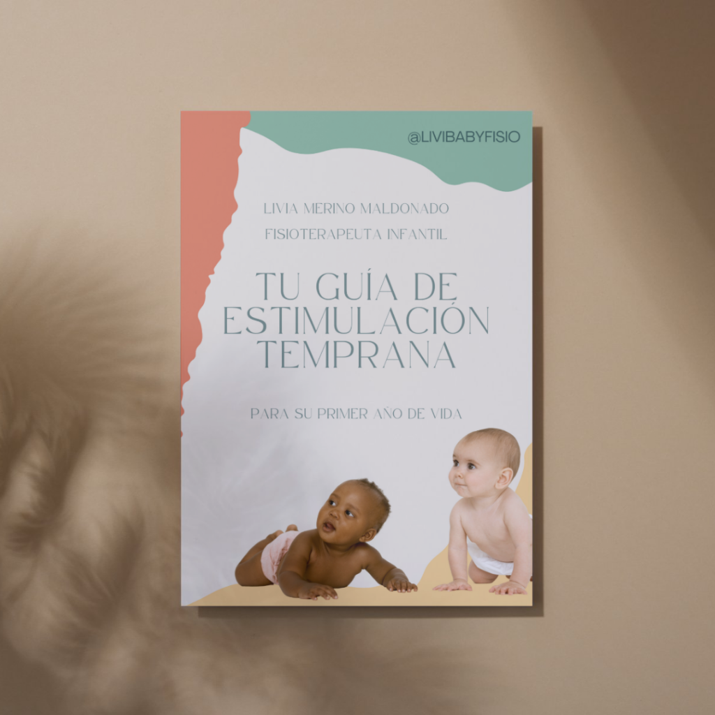 Libro guía estimulación temprana